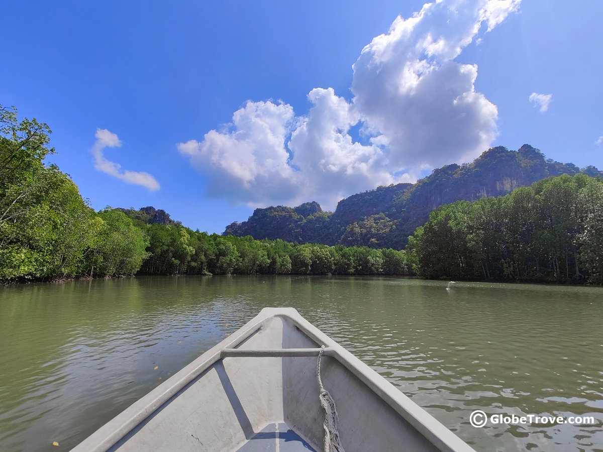 Langkawi mangrove tour boat trip