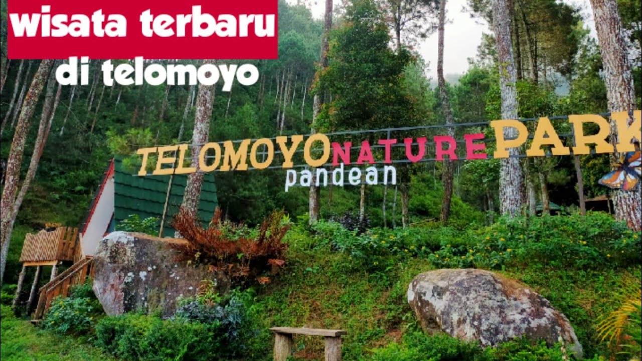 Telomoyo Nature Park: Pesona Alam dan Petualangan di Lereng Merapi